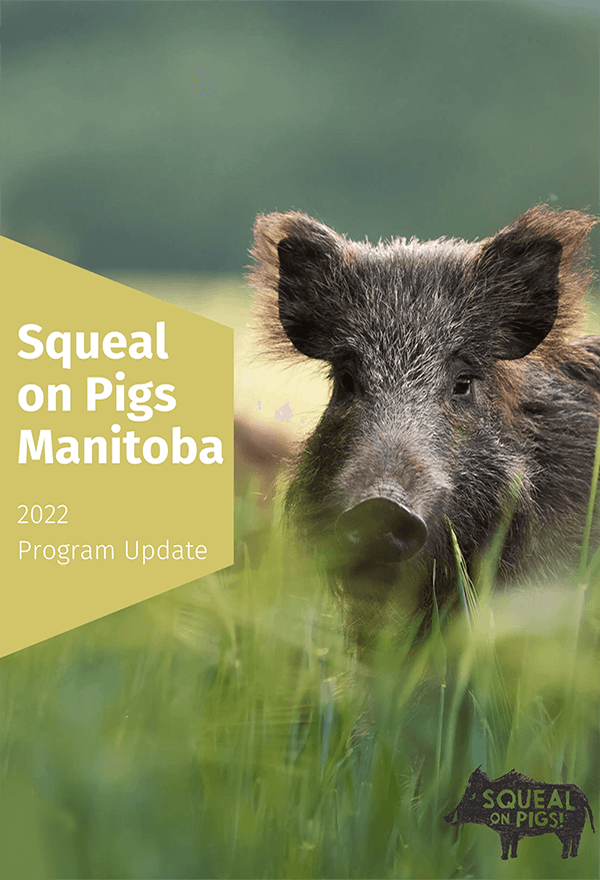2022 Squeal on Pigs Report Thumbnail