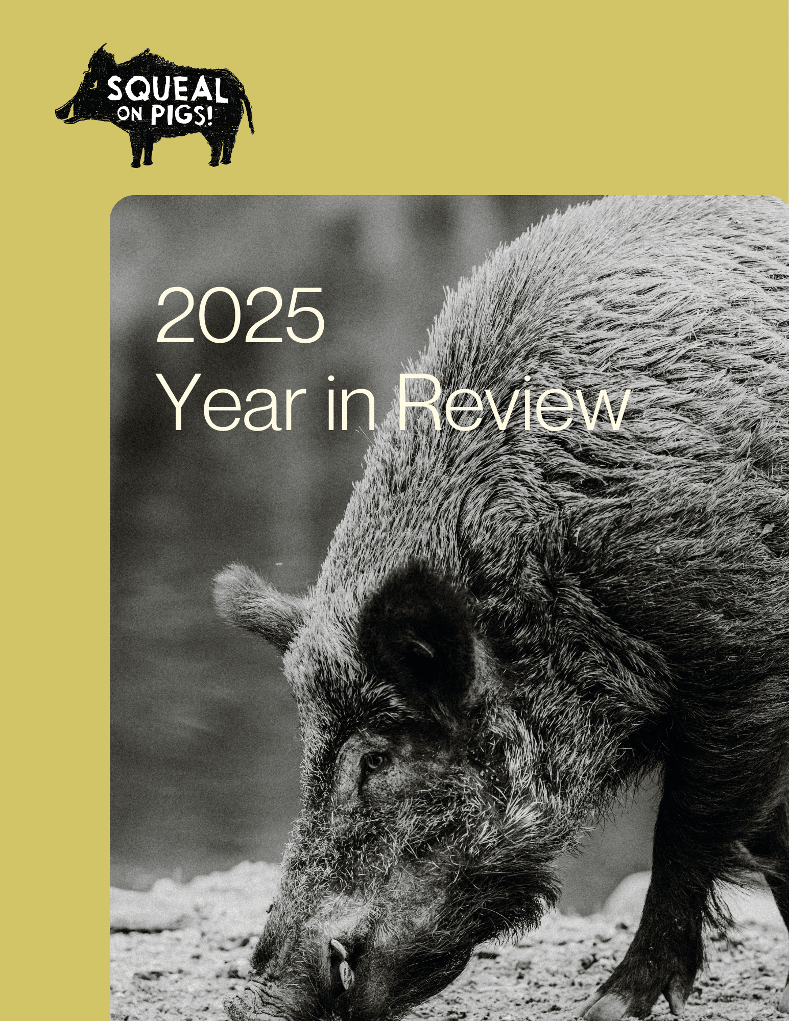 2022 Squeal on Pigs Report Thumbnail