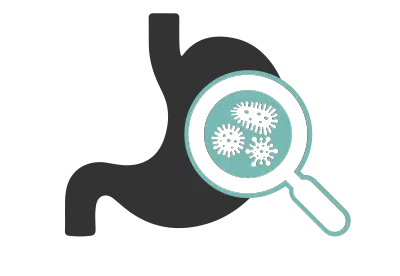 A stomach with harmful bacteria